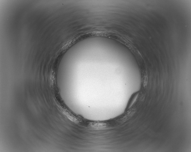 X0000080140476200612081031