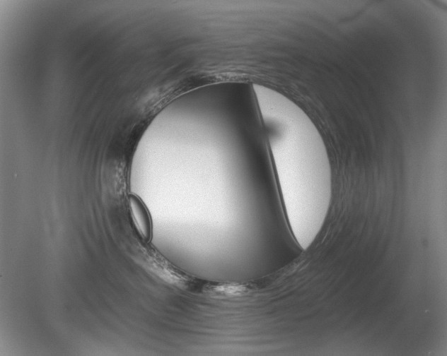 X0000080140478200612081031