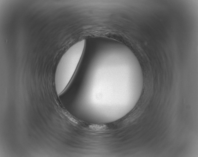 X0000080140480200612081031