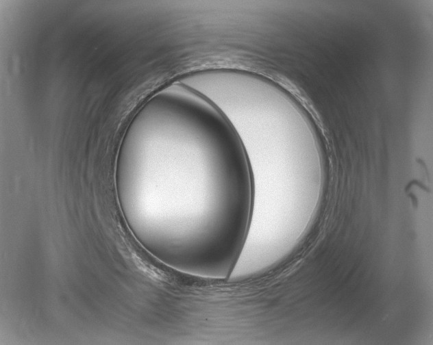 X0000080140481200612081030