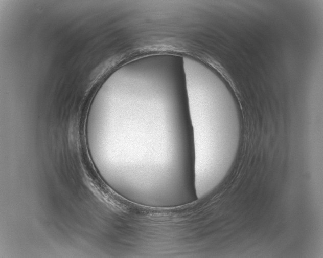 X0000080140482200612081030