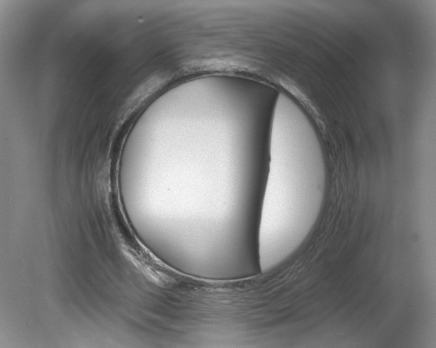 X0000080140486200612081030