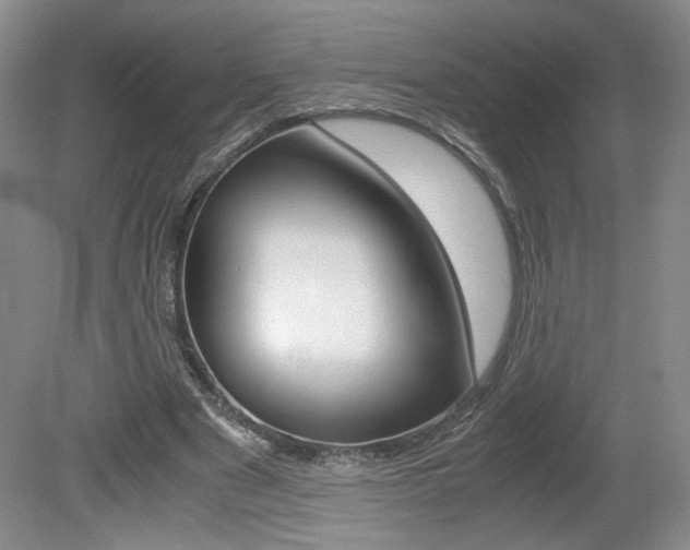 X0000080140489200612081030