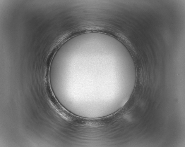 X0000080140490200612081030