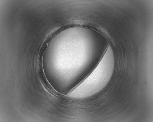 X0000080140492200612081030
