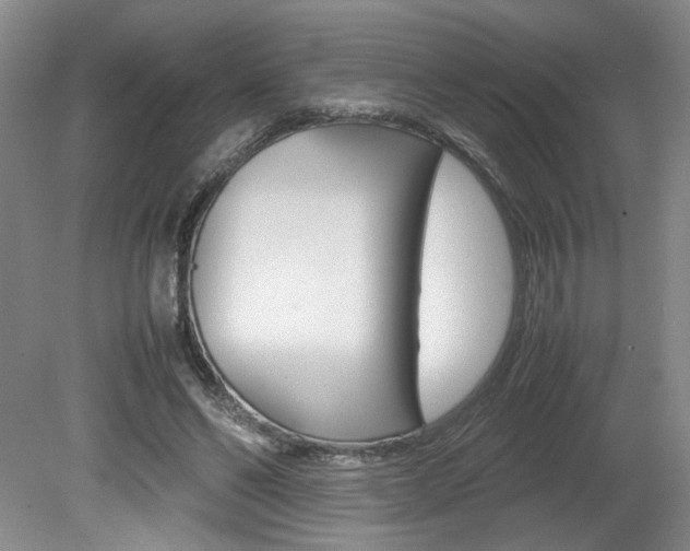 X0000080140494200612081030