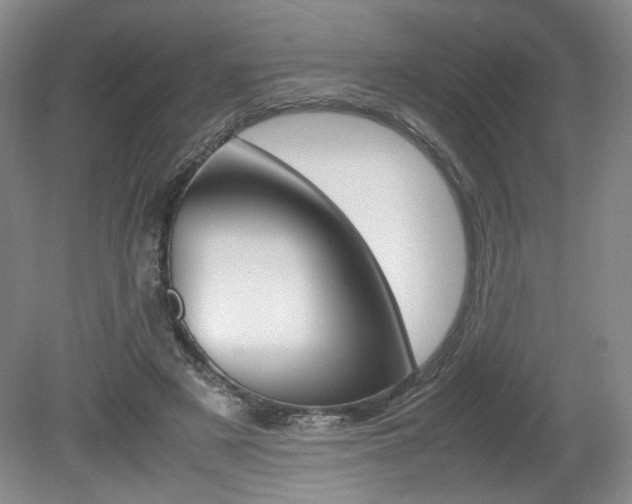 X0000080140497200612081030
