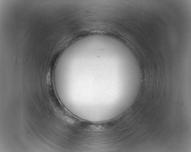 X0000080140502200612081030