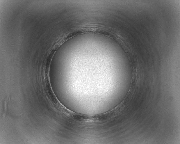 X0000080140504200612081030