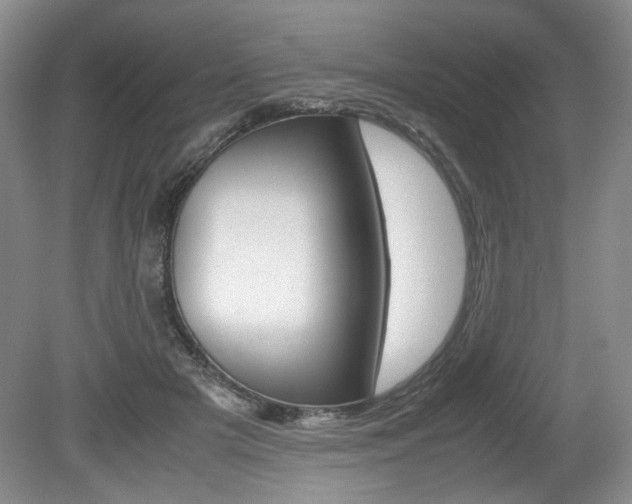 X0000080140505200612081030