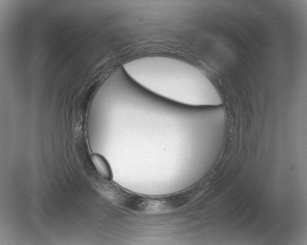 X0000080140507200612081030