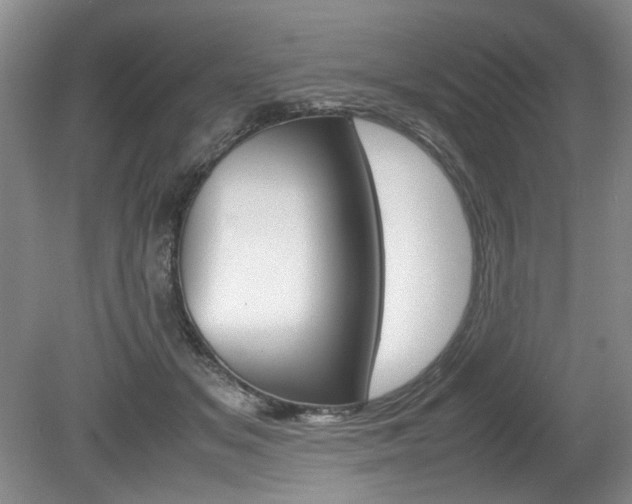 X0000080140509200612081030
