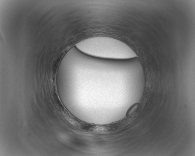 X0000080140518200612081030