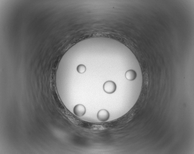 X0000080140519200612081030