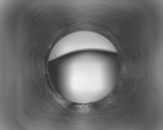 X0000080140524200612081029