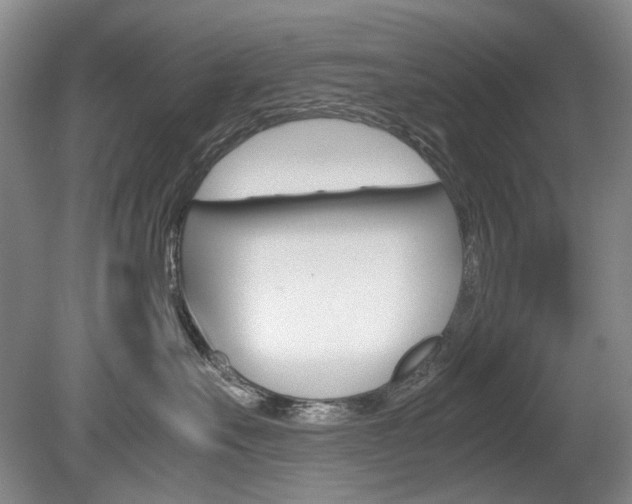 X0000080140527200612081029
