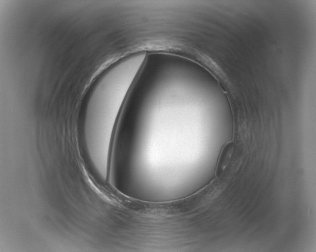 X0000080140530200612081029