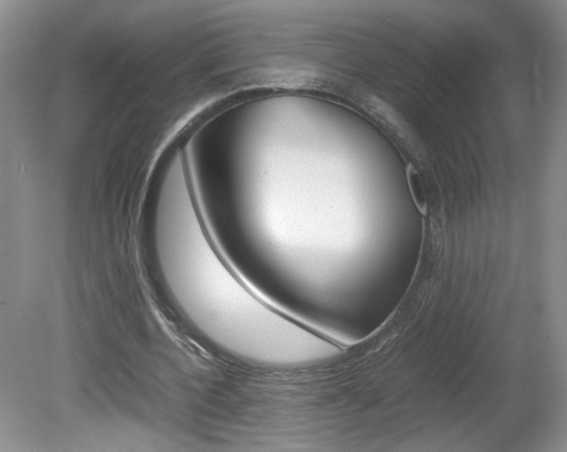 X0000080140532200612081029