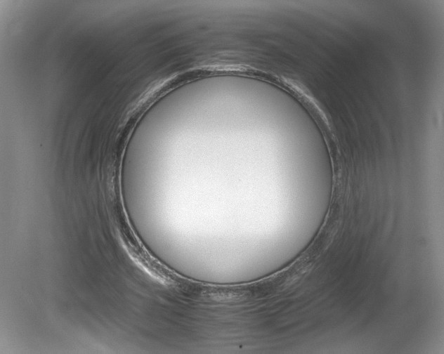X0000080140533200612081029