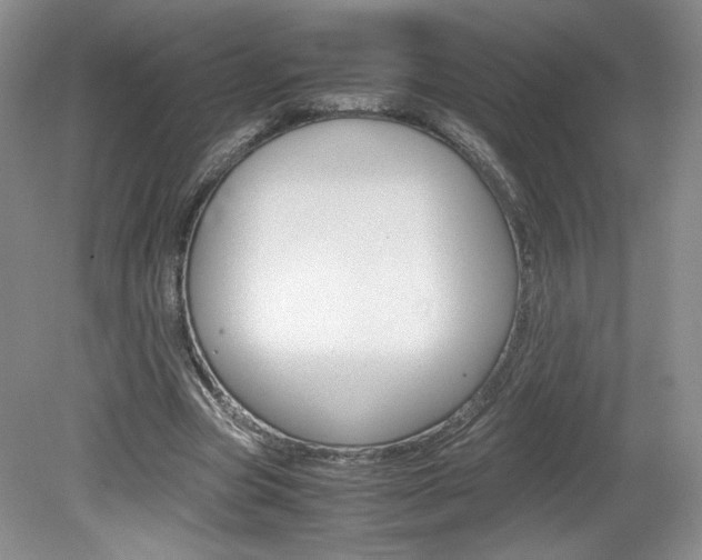 X0000080140537200612081029