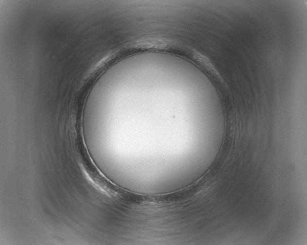 X0000080140538200612081029