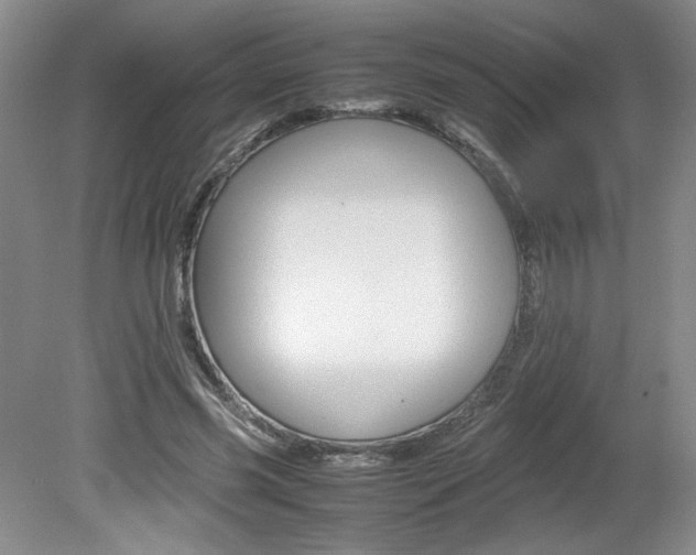 X0000080140541200612081029