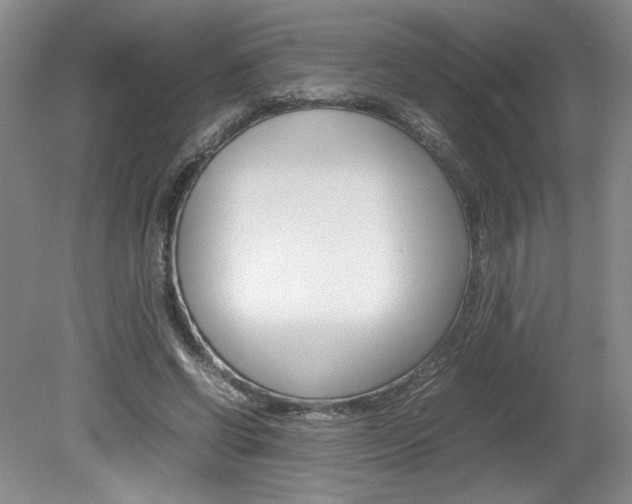 X0000080140542200612081029