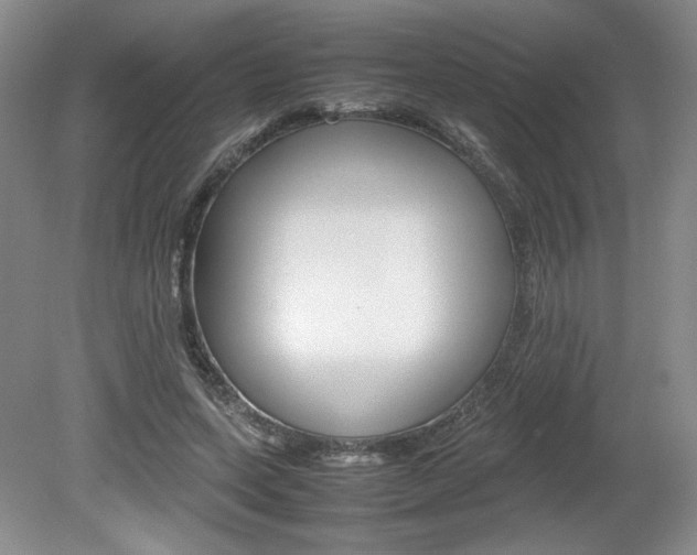 X0000080140543200612081029