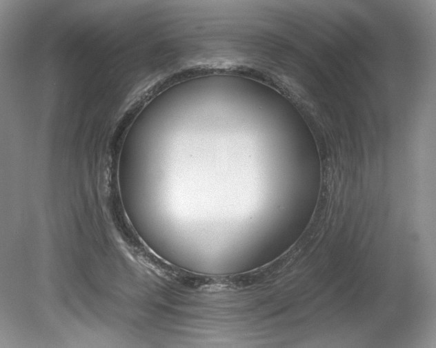 X0000080140544200612081029