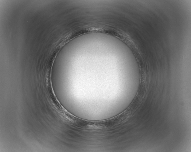X0000080140545200612081029