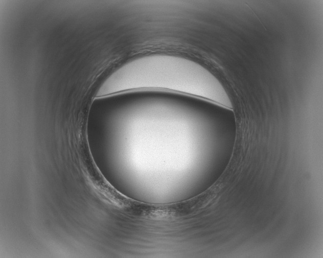 X0000080140546200612081029
