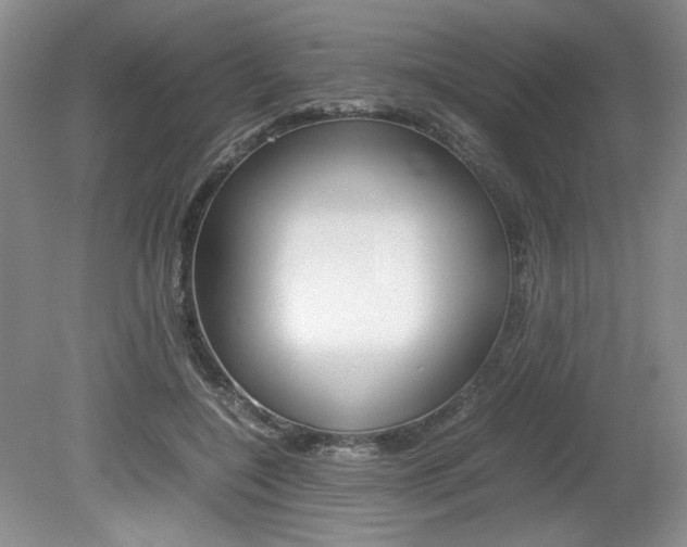 X0000080140548200612081029