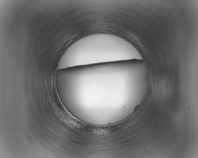 X0000080140549200612081029