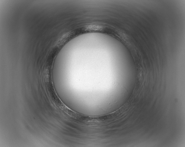 X0000080140551200612081029