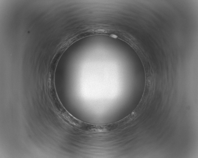 X0000080140552200612081029