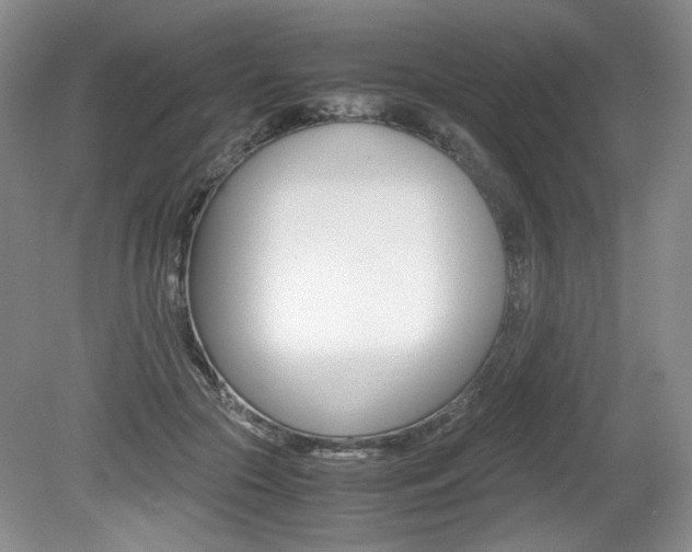 X0000080140553200612081029