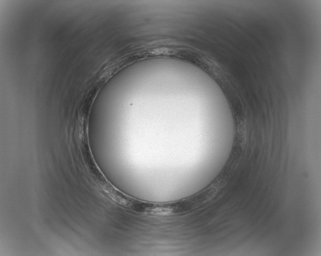 X0000080140554200612081029