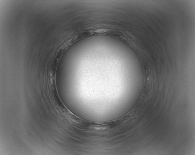 X0000080140555200612081029