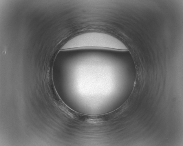 X0000080140556200612081029