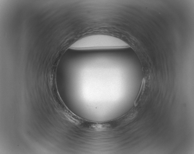 X0000080140558200612081029