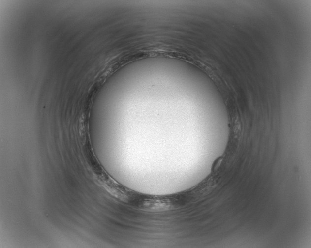 X0000080140559200612081029