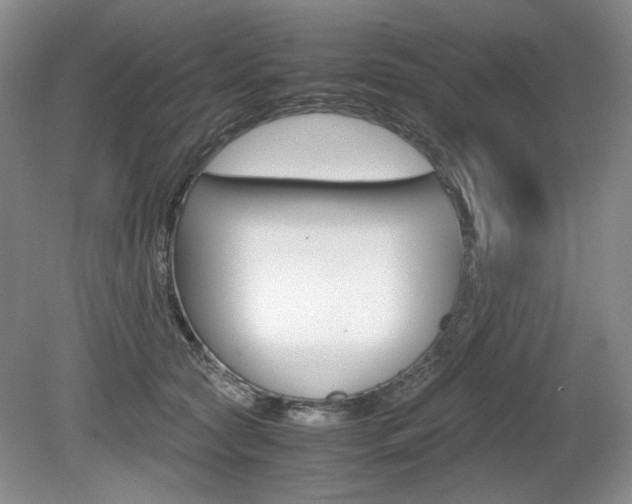 X0000080140561200612081029