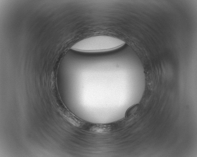 X0000080140563200612081029