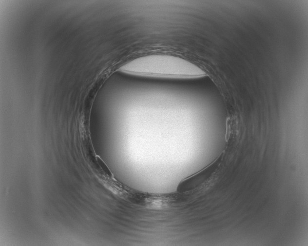 X0000080140564200612081029