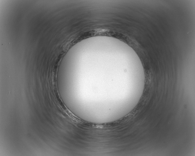 X0000080140565200612081029