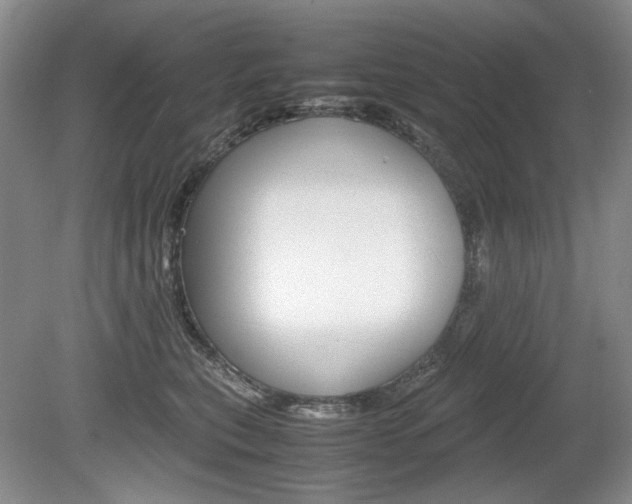 X0000080140567200612081029