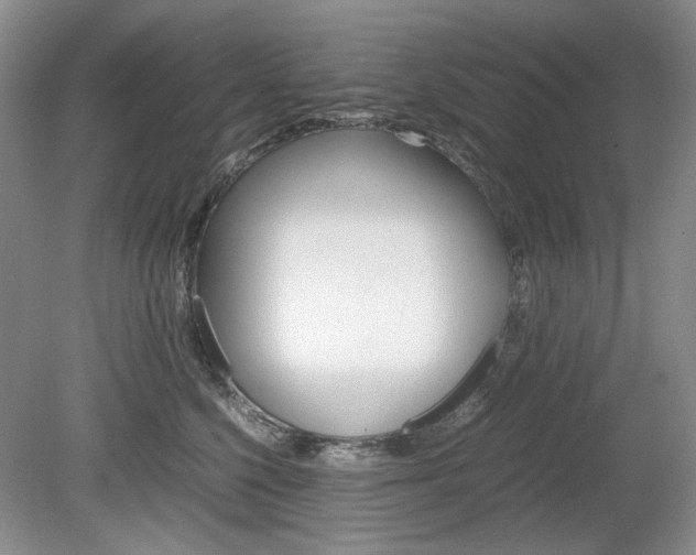 X0000080140568200612081029