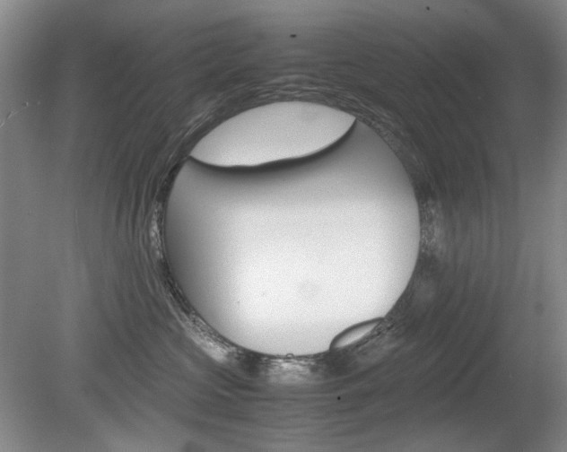 X0000080140573200612081029