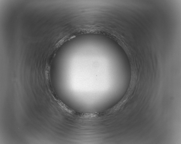 X0000080140576200612081029