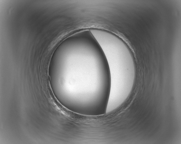 X0000080140577200612081029